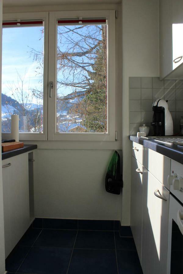 The Engstligen Leilighet Adelboden Eksteriør bilde