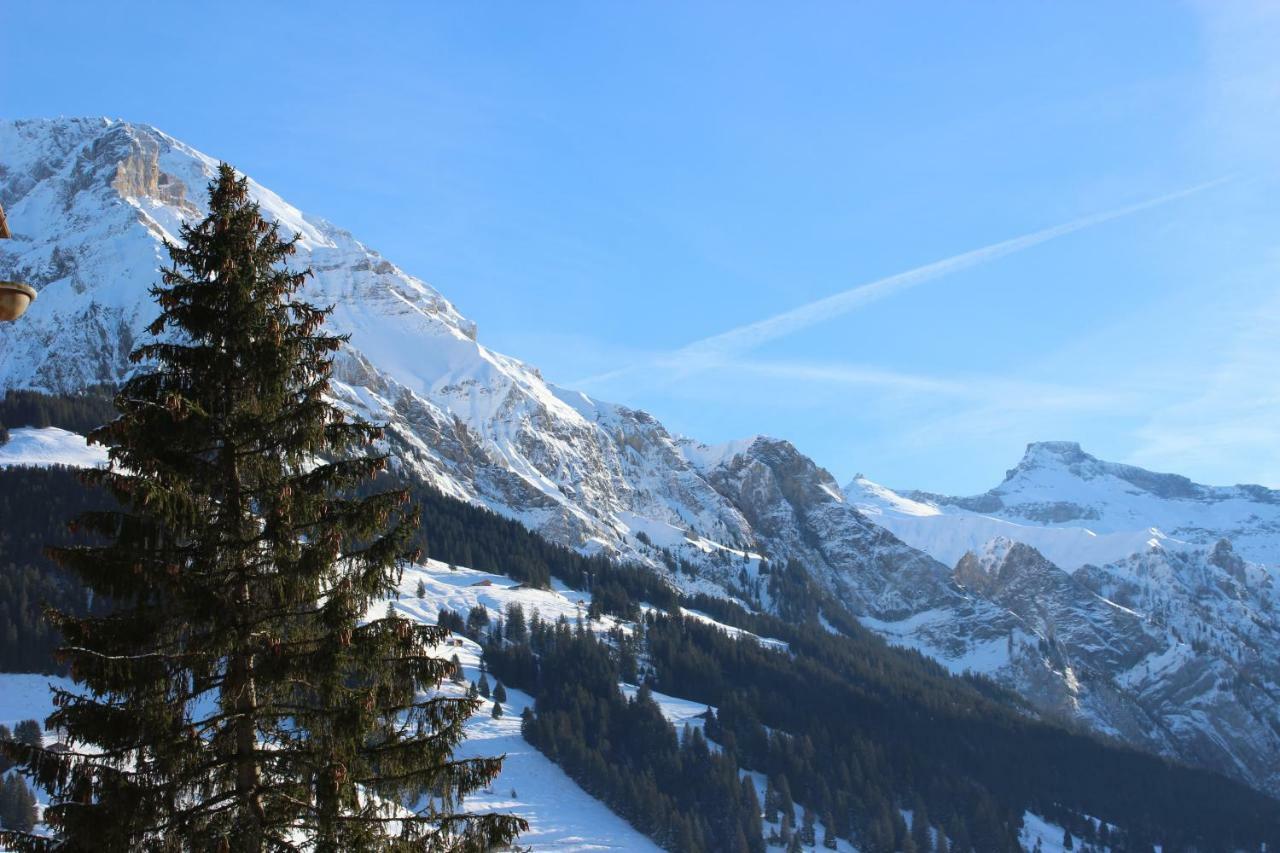 The Engstligen Leilighet Adelboden Eksteriør bilde
