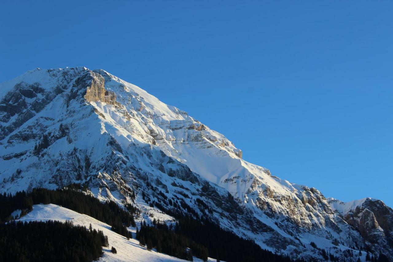The Engstligen Leilighet Adelboden Eksteriør bilde