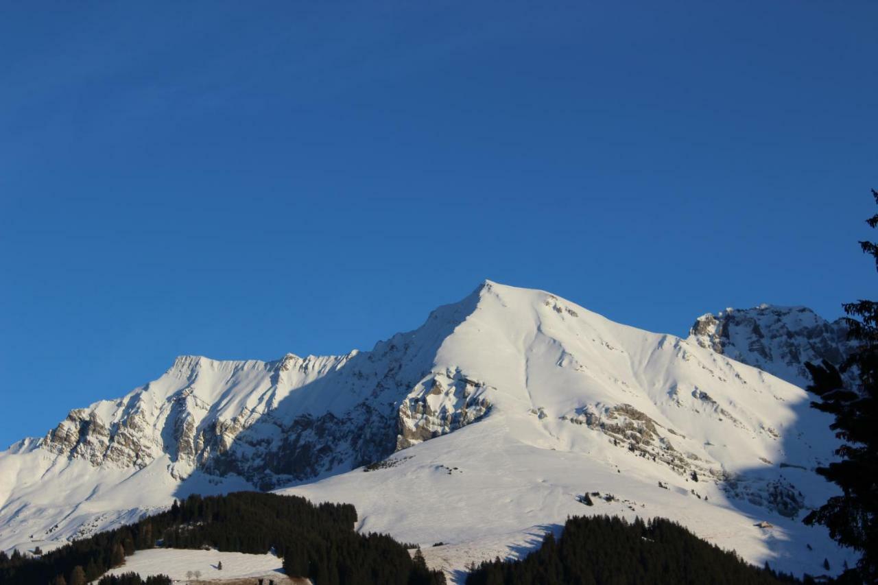 The Engstligen Leilighet Adelboden Eksteriør bilde