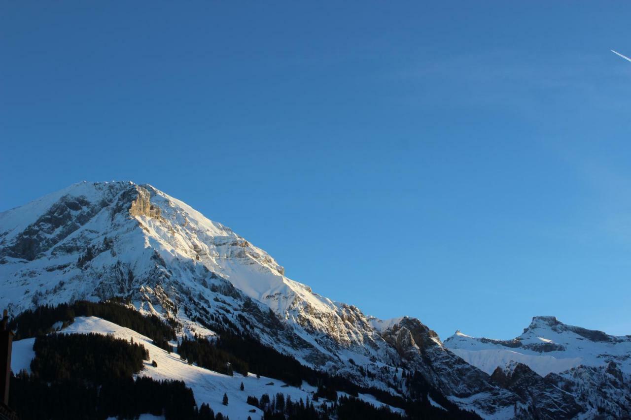 The Engstligen Leilighet Adelboden Eksteriør bilde